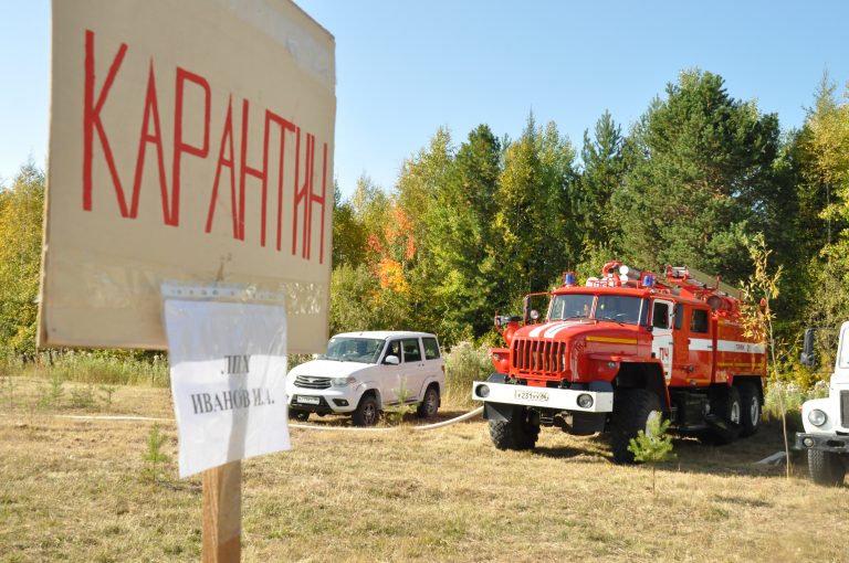 Профилактическая тренировка