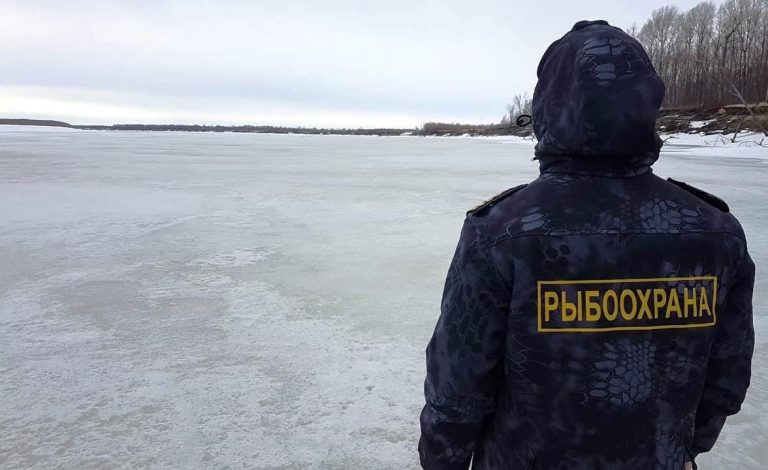 Рыбоохрана Югры информирует
