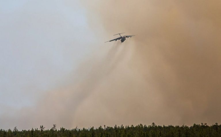 МЧС прогнозирует высокую вероятность лесных пожаров