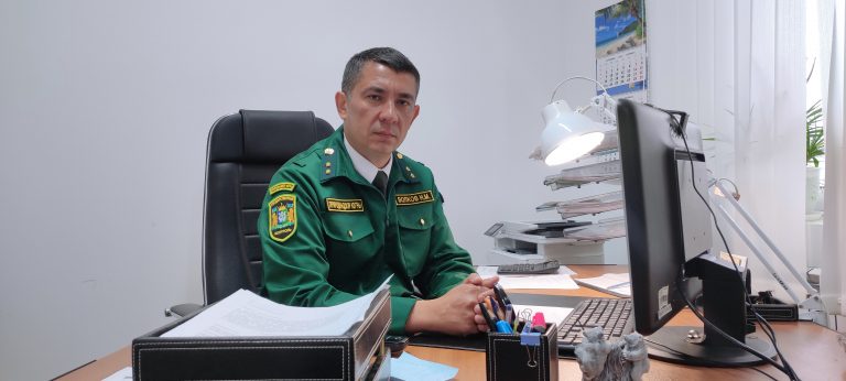 Раз в год и палка стреляет