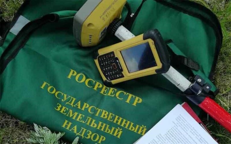 Статистика результатов деятельности государственного земельного  контроля (надзора)
