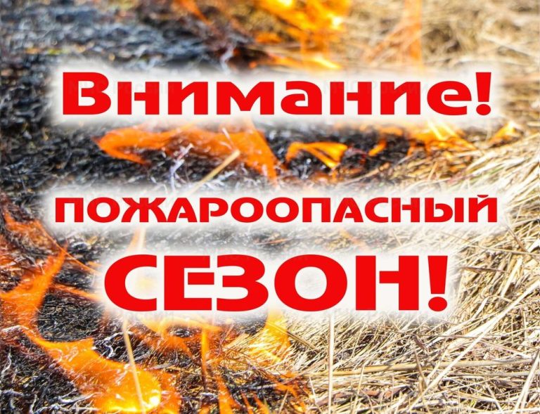 Лес и огонь: важные правила для туристов и отдыхающих в Югре