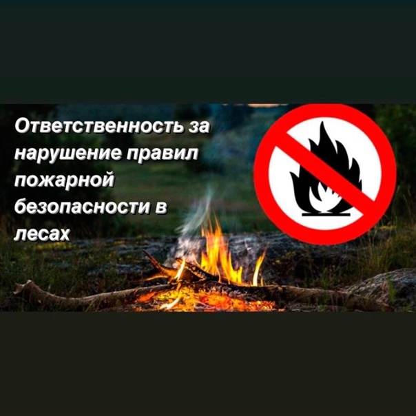 Соблюдение правил пожарной безопасности в лесах