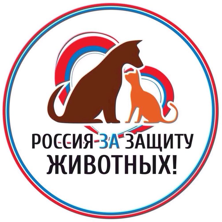 Защита домашних животных — забота и ответственность каждого