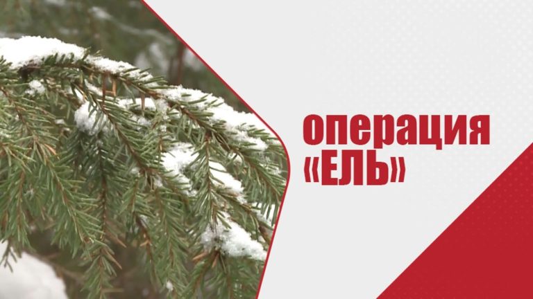 Профилактическая операция «Ель» в Югре