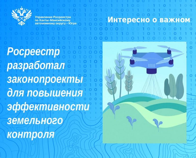 Не осваиваешь участок – готовься к проверке: Росреестр инициировал поправки в законодательство