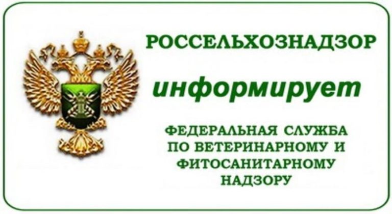 Важная информация!