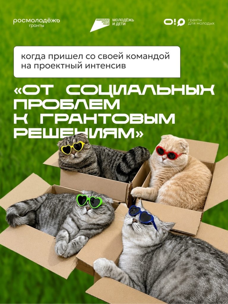 🚀 Есть идея социального проекта? В Югре помогут упаковать ее на грант!