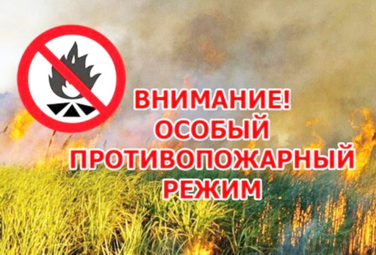 В Березовском районе введен особый противопожарный режим