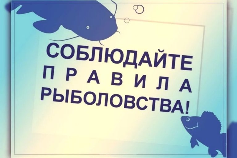 Администрация Березовского района отдел по вопросам малочисленных народов Севера, природопользованию, сельскому хозяйству и экологии информирует