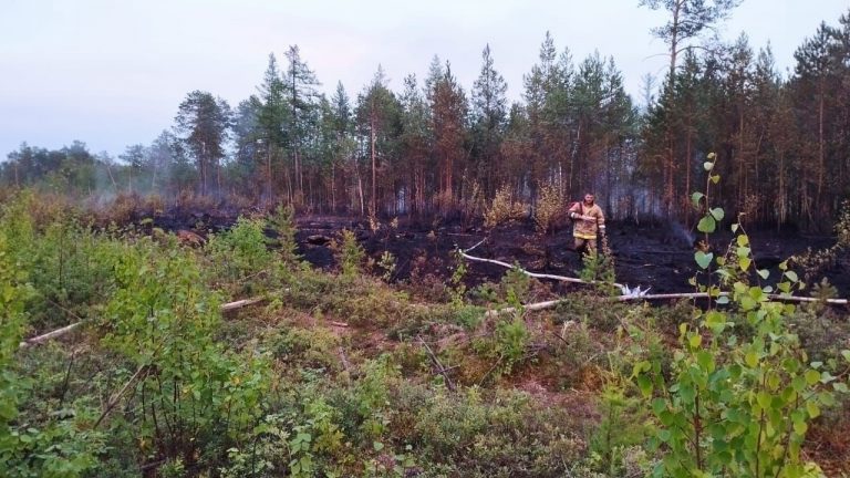 В Игриме ликвидировали пожар площадью 300 м2