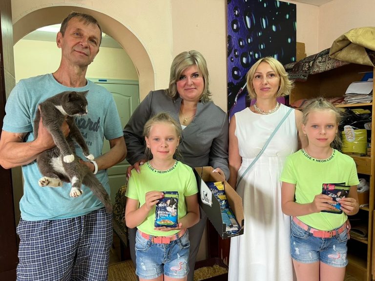Международный день кошек или пушистые комочки счастья