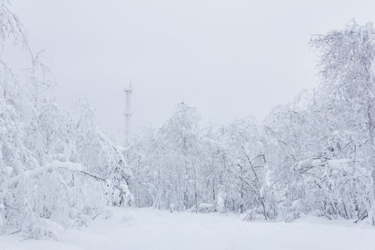 Связь — гарант комфортной жизни